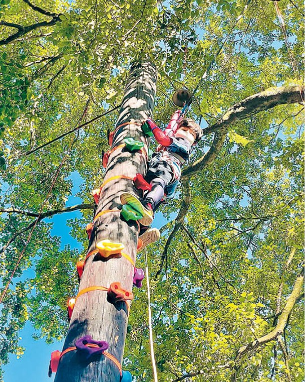沿樹而上的攀爬設施，所需技巧及難度俱低，適合小朋友玩。（IG：wesley.w.t.y）