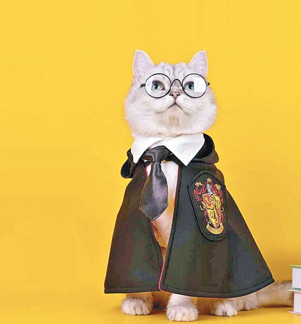 哈利波特魔法袍，連眼鏡及呔，2,586日圓。