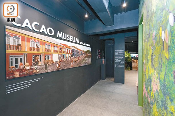 博物館展示可可豆的起源、種植及製作等過程。