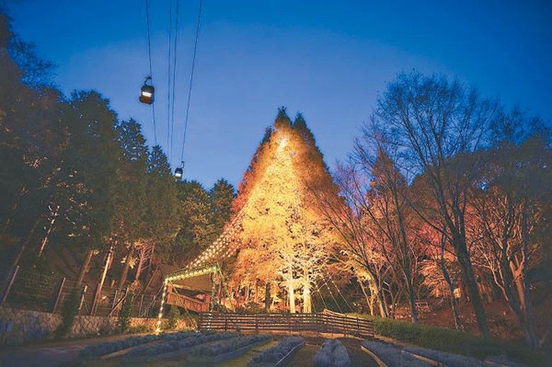 以1,600個燈泡裝飾、高25米的聖誕樹，為神戶增添浪漫聖誕景點。