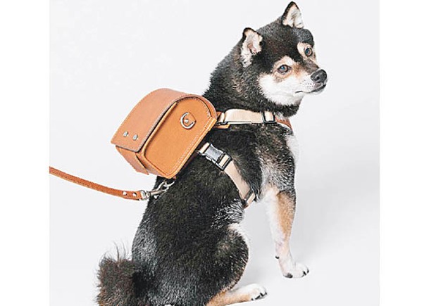 土屋鞄製造所為寵物而設的專用書包「Pet Randoseru」，售49,500日圓（約HK$2,581）。