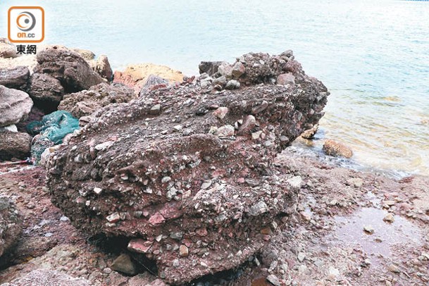 鴨洲擁有香港罕見的角礫岩，更有不少奇形怪石包括這「蛤蟆」。