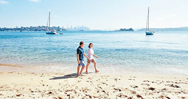 玫瑰灣海灘：玫瑰灣海灘上可飽覽以悉尼港大橋為首的城市景觀。