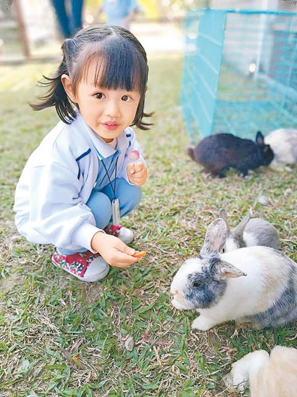 小朋友可親身餵飼小白兔，但不可以餵食外帶食物。