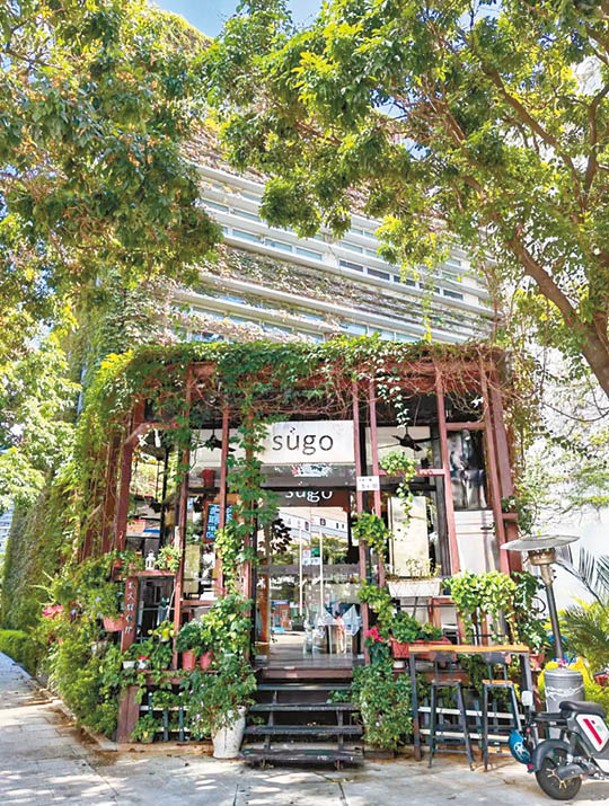 店舖與餐廳都被綠化植物圍繞，處處綠意盎然。（小紅書@Nancy）