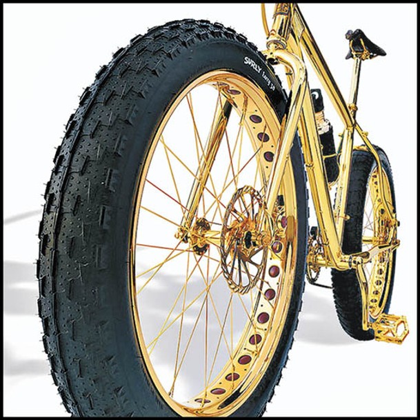 山地單車沿用粗輪胎設計，配以黃金輪轂。