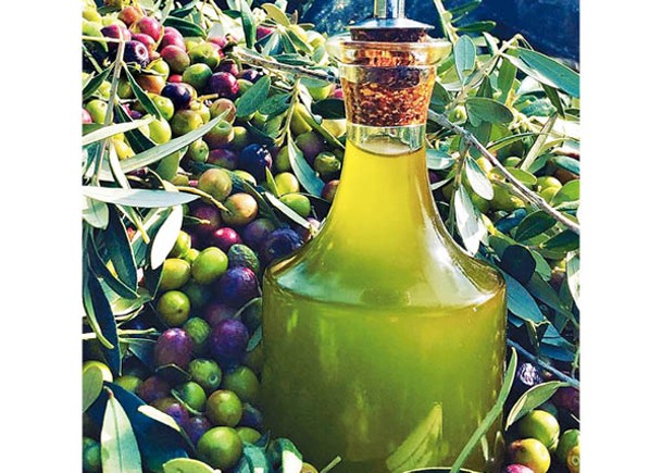 撩棱食典：滿月橄欖油