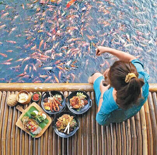 預約了「水上發呆亭」可獲贈兩包魚糧，既可親手餵魚，又可欣賞成群魚類搶食的場面。