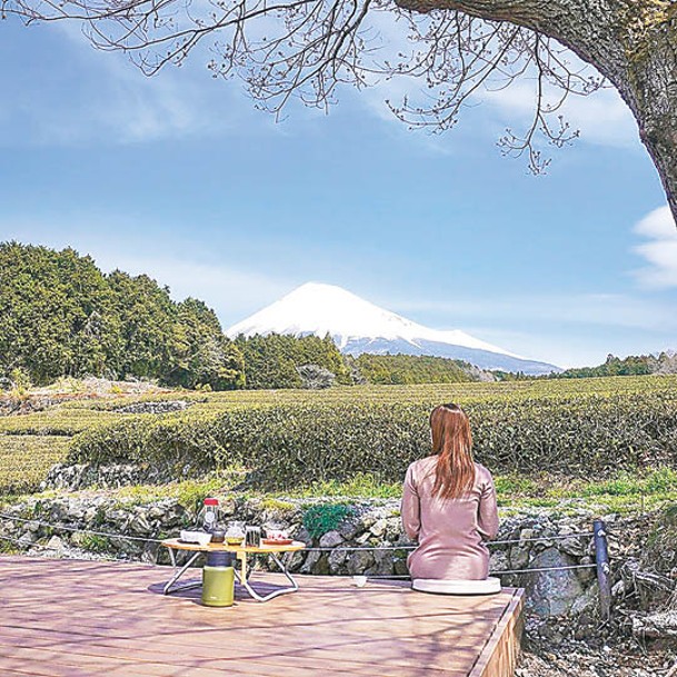 在「富士山的茶之間」可於寬敞的梯田茶園眺望富士山，度過悠閒時光。