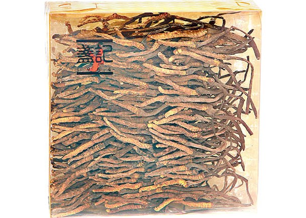 西藏那曲冬蟲夏草（小珍珠草）<br>禮盒一両裝 $3,300