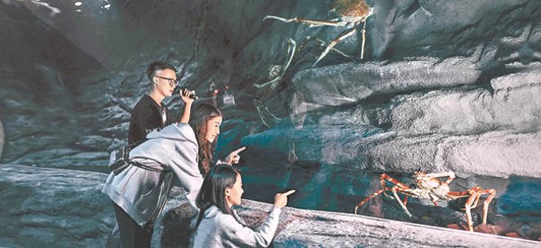 訪客可藉着水族館的夜間探索，看看哪些生物活躍於深夜的海洋。