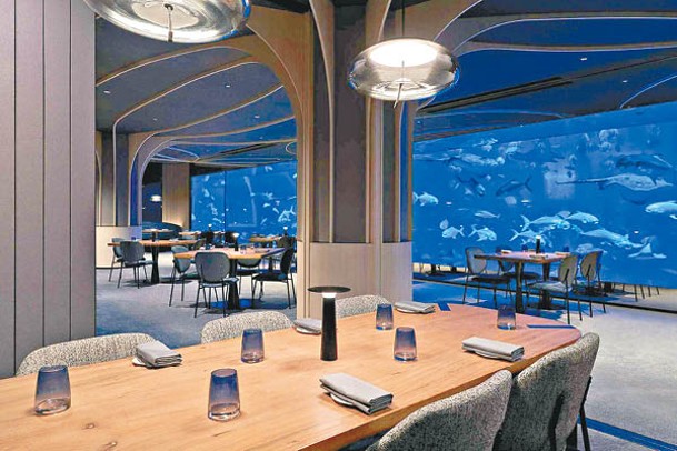 位於度假區內的Ocean Restaurant，同樣坐擁 S.E.A.海洋館的海底世界景觀。