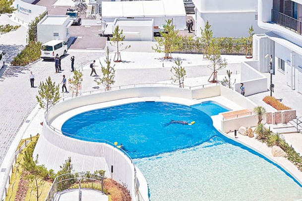 酒店擁有日本首個可與海豚互動的海豚泳池。
