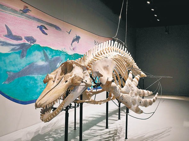 水族館有全球首個使用數位科技的虎鯨教學區域「ORCA HALL＆ORCA LABO」。