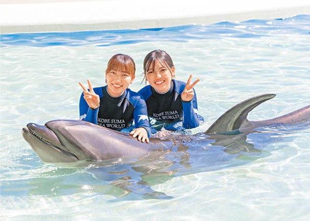 酒店的海豚泳池讓住客可抓住海豚的背鰭與牠們一起在池中暢泳。