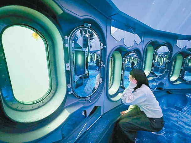 透過24個水底窗口，可欣賞真實的海底世界。