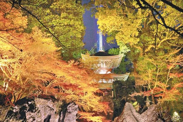 1日限定的「花火與紅葉壯麗秋天的絕景石山詣」住宿方案，重點行程是參觀石山寺的紅葉點燈活動。