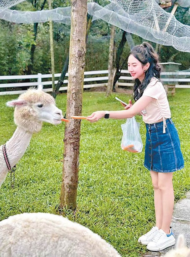 萌寵牧場飼養了各式動物，可親手餵飼牠們。（小紅書@小小晴呀）