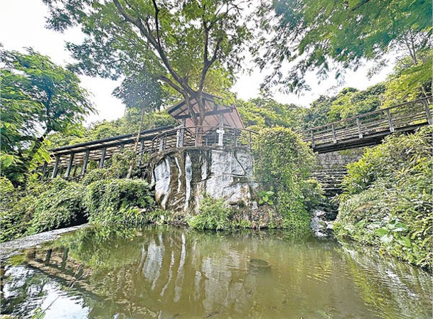 設有廣闊的登山區，並提供木屋、樹屋等度假房間。