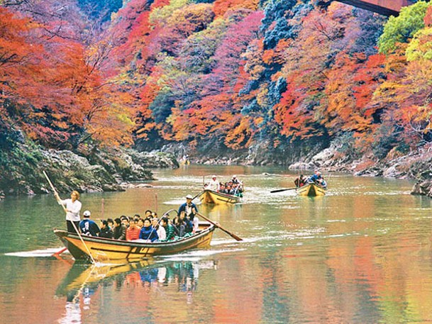 到達龜岡站後，可乘坐小船沿保津川一路順流而下回到嵐山，以另一角度欣賞紅葉。