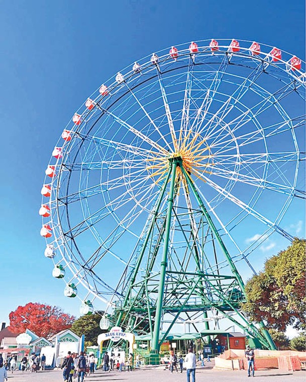 公園除了種有不同的應節花朵，亦擁有大型摩天輪及過山車等遊樂設施。