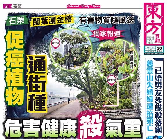 獨家報道 促癌植物通街種 危害健康殺氣重