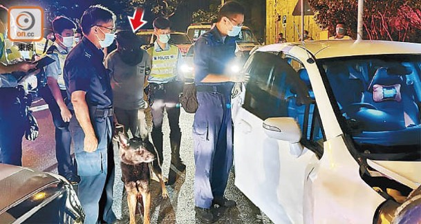 警方派出緝毒犬到場及押同疑犯（箭嘴示）搜查車廂。（沈厚錚攝）