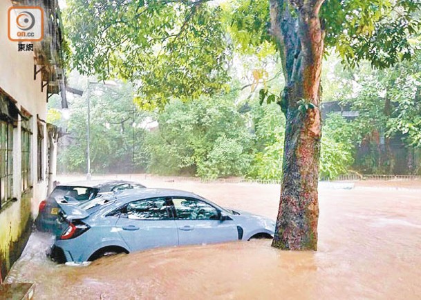 2018年8月29日，元朗每小時降雨量一度高達119毫米。