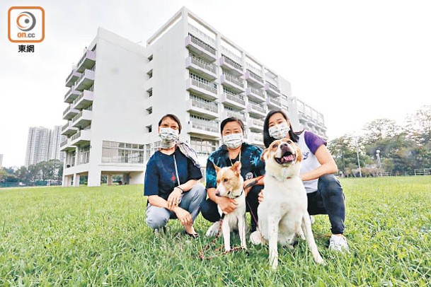 李淑賢（左）、謝雅怡（中）、李偉麒（右）簡介「寵愛傳校」計劃。（胡家豪攝）