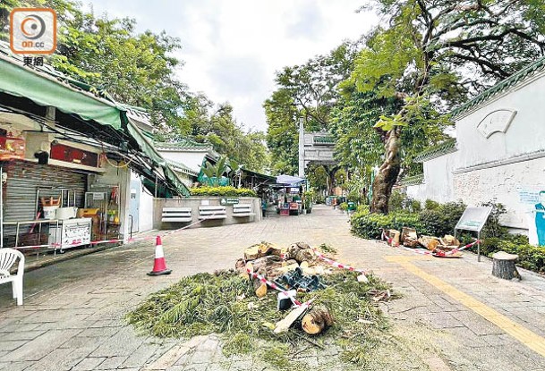 樹椏及樹葉散落一地。（林耀康攝）