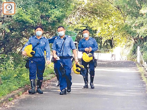 荃灣：3隻小野豬疑誤墮引水道，須由消防員營救。（蘇偉明攝）