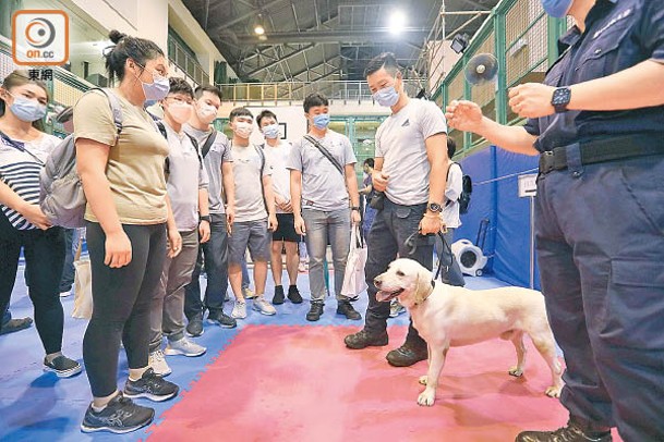 警犬隊吸引市民駐足觀看。（黃偉邦攝）