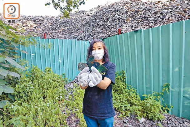 陳可淳認為或有萬噸廢料傾倒在堆填區，變相由香港接收「洋垃圾」。