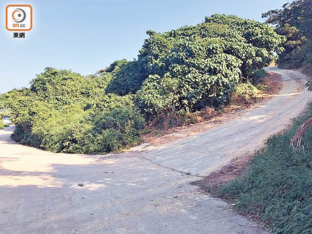 東方去年獨家踢爆有人在相思灣村以石屎興建道路，疑為日後丁屋群鋪路。