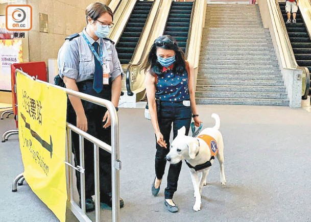 灣 仔有選民帶同導盲犬一起到票站投票。（陳嘉順攝）