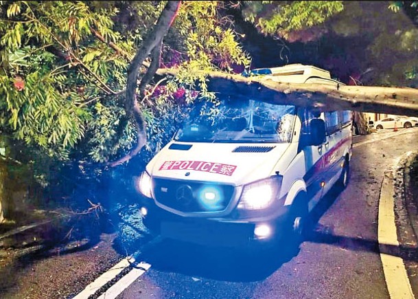 南區壽山村道有警車被塌樹擊中，車頭擋風玻璃碎裂。