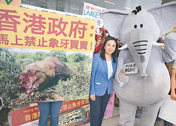 葛珮帆提到自2014年開始推動香港立法禁止象牙買賣，經過多年努力，2018年初成功通過立法。