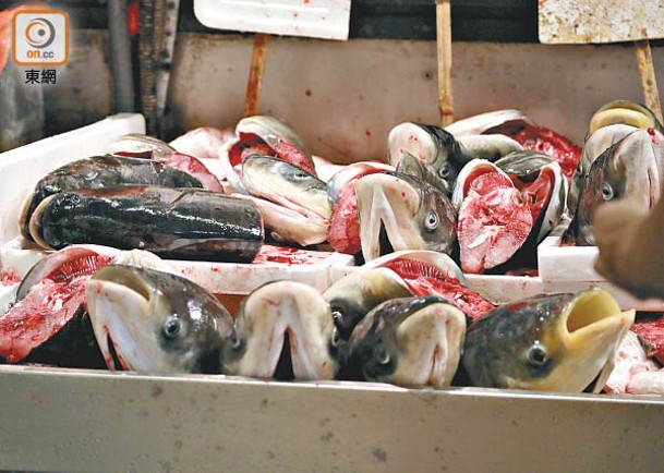 處理未經烹煮的淡水魚，隨時染乙型鏈球菌。