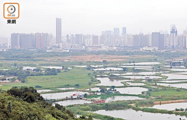 政府建議收地建立三個濕地保育公園。（陳德賢攝）
