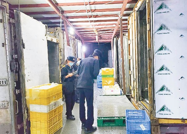 食環署人員在無牌凍房檢視部分搜獲的貨品。