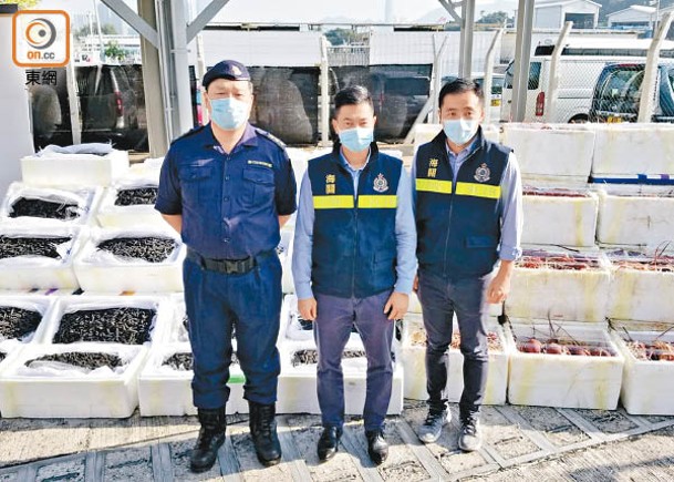 海關機警再截私梟  檢值千萬龍蝦海參