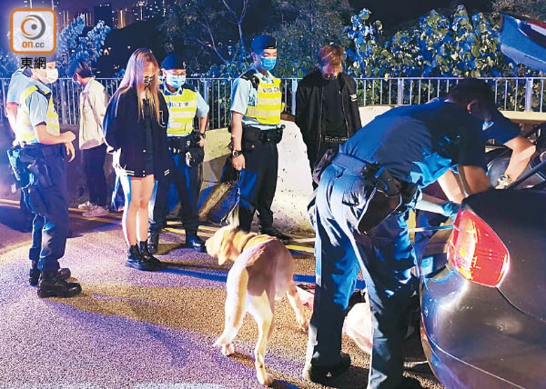 警員在緝毒犬協助下，押同涉案人士搜車。（沈厚錚攝）