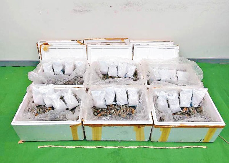 6個發泡膠箱內急凍蝦的冰袋被發現有異，內藏12公斤懷疑液態冰毒。