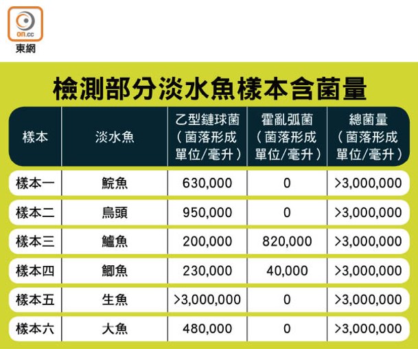 檢測部分淡水魚樣本含菌量