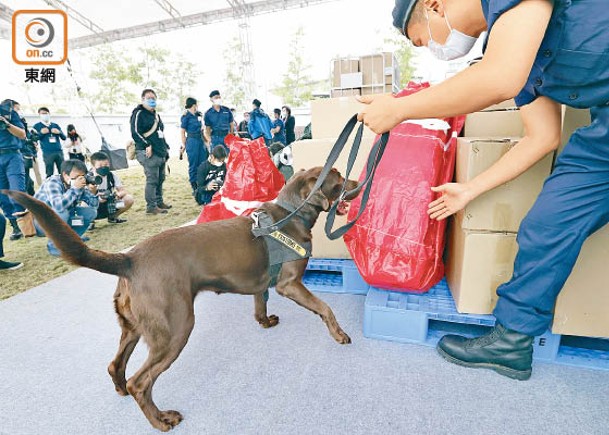 海關首設槍械搜查犬隊  加強緝私反恐