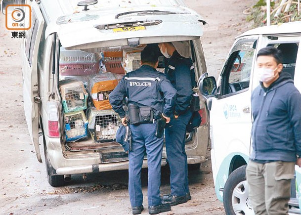 警員及愛協人員在場調查。