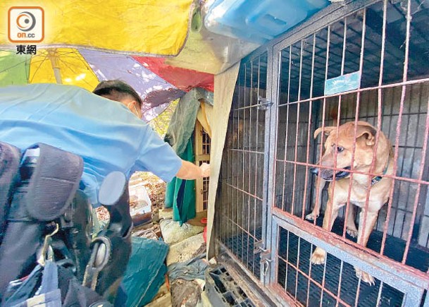 漁署治犬失職  防止虐待不力