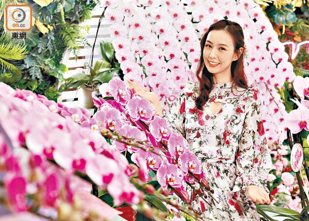 農曆新春花展會場內放置了18株合成的蘭花瀑布。（高嘉業攝）