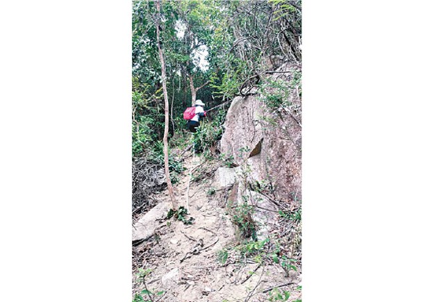 朱順雅話友人揀最困難路段上獅子山，需手腳並用。