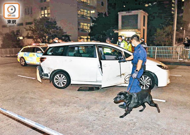 警犬協助搜車。（沈厚錚攝）